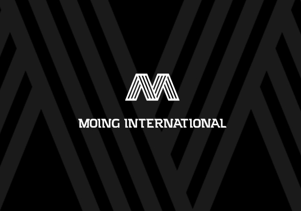 名欧国际  品牌VIS全案策划